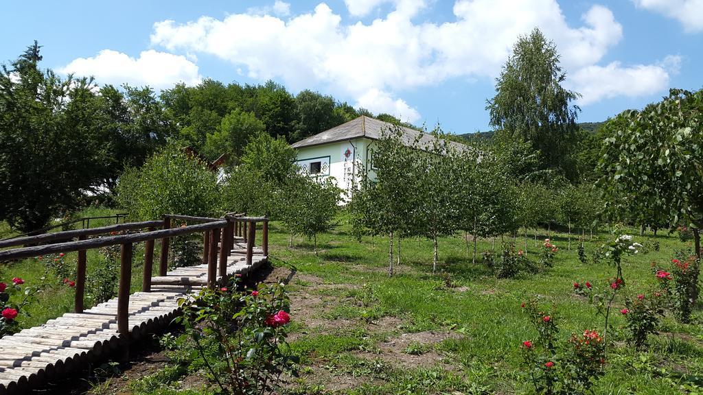 Activ Parc Hotel Negresti Exterior photo